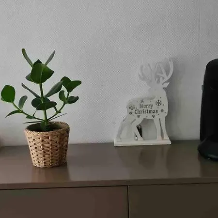 Apartamento F2 A 5min De La Gare , Calme, 47m2 *
